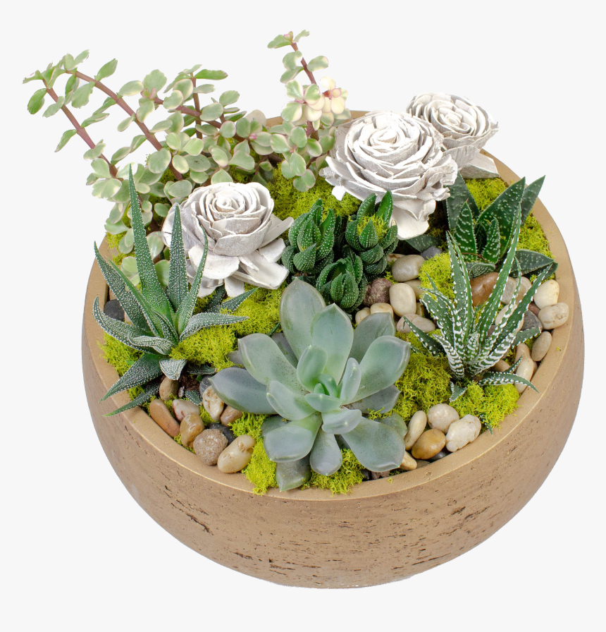 Flowerpot, HD Png Download