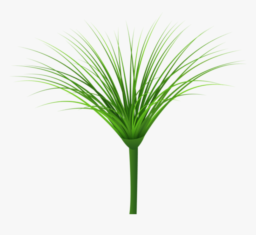 Download Tropical Green Leaf Clipart Png Photo - Sweet Grass, Transparent Png