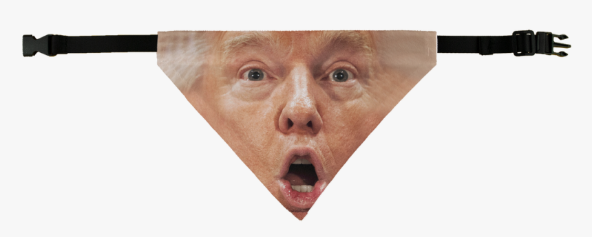 Shocked Trump Pet Bandana - Human, HD Png Download
