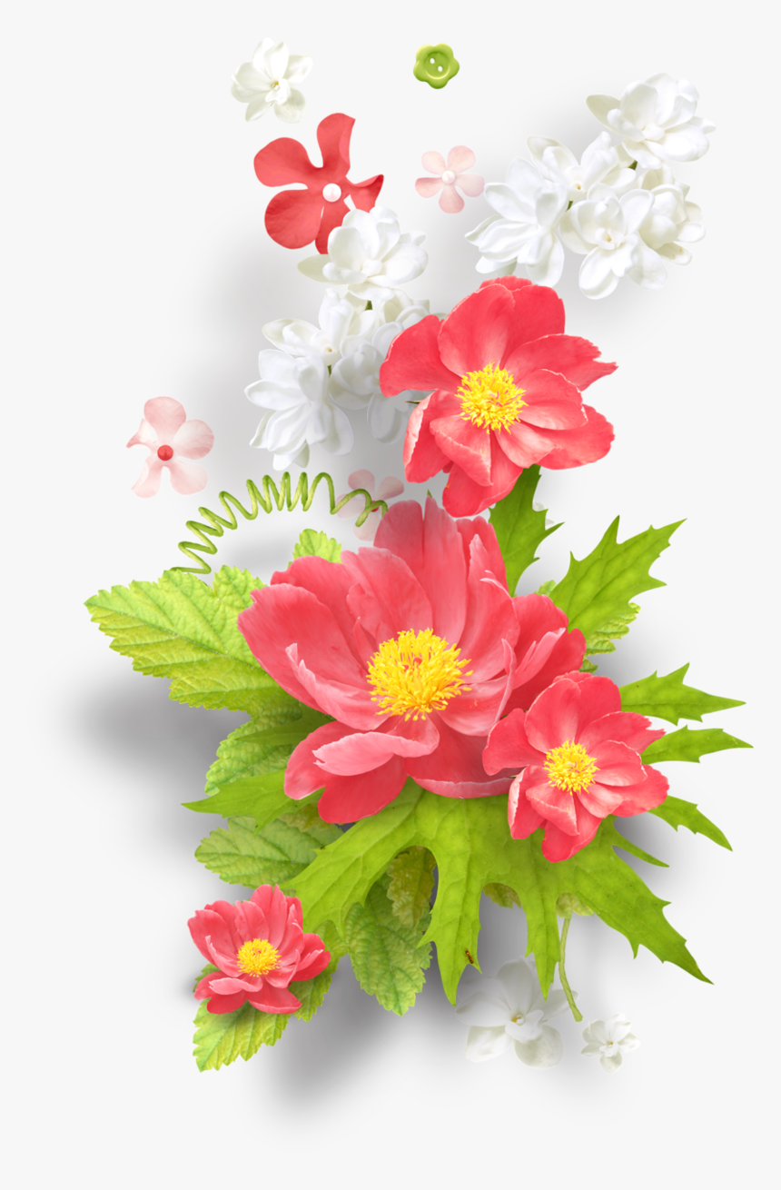 Scrapbook Png Photo Frames, Transparent Png