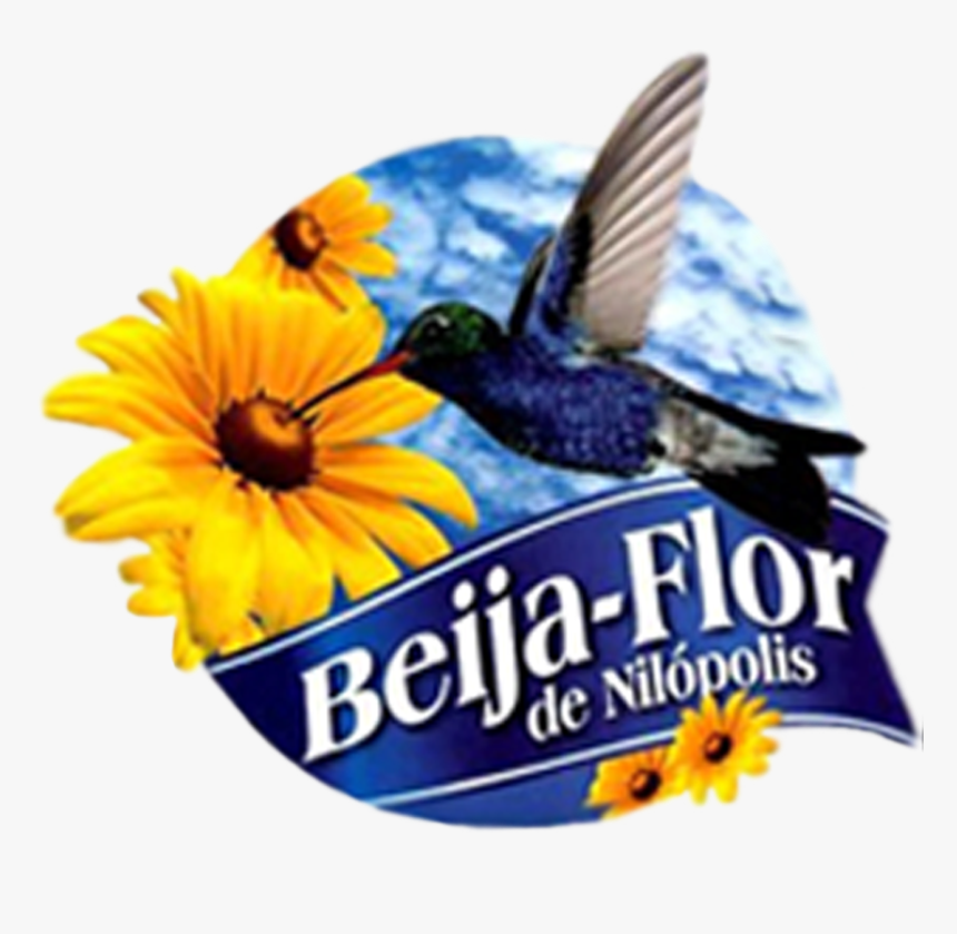 Desenho Da Beija Flor Milopolis, HD Png Download
