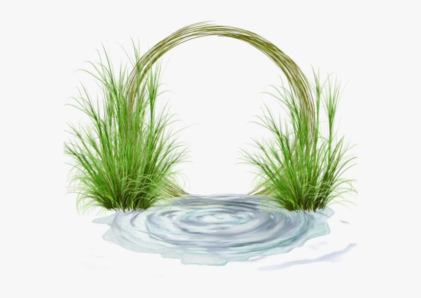 75783143 - Sweet Grass, HD Png Download