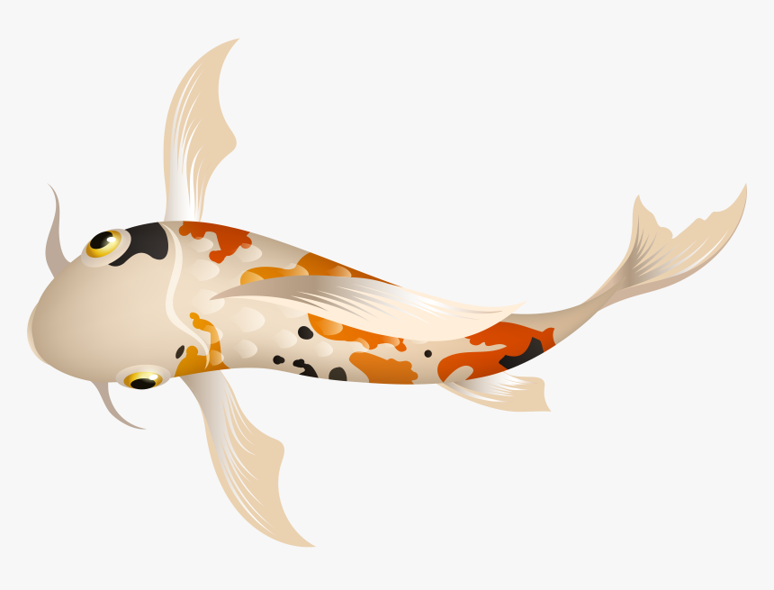 Fish Png, Transparent Png