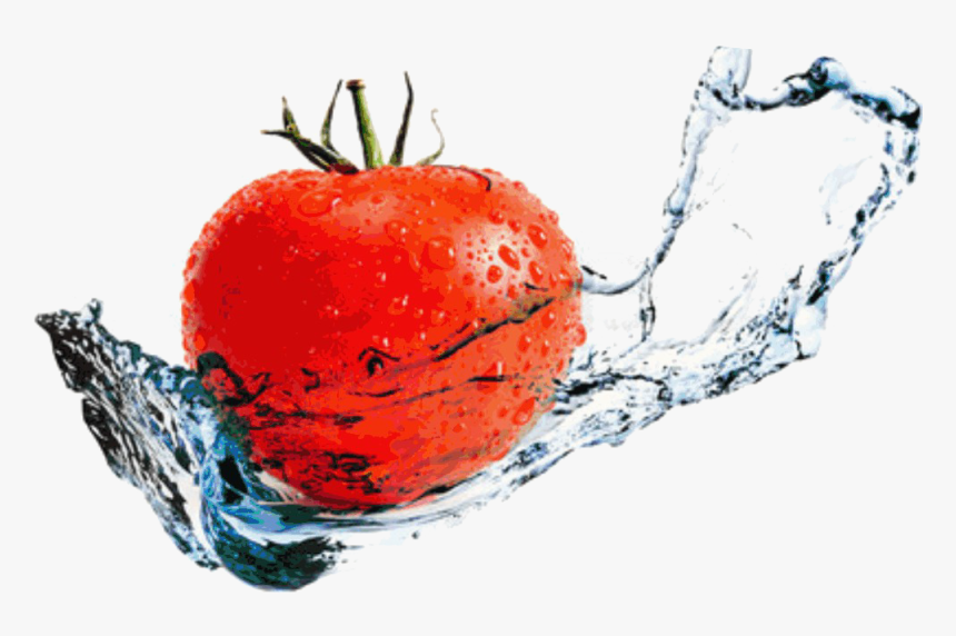 Product-img - Stock Photography, HD Png Download