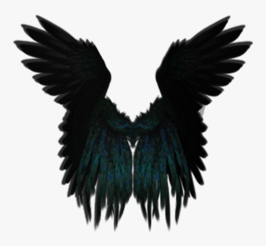 #darkangel #angelwings #angels #angel #wings #feathers - Black Angel Wing Png, Transparent Png