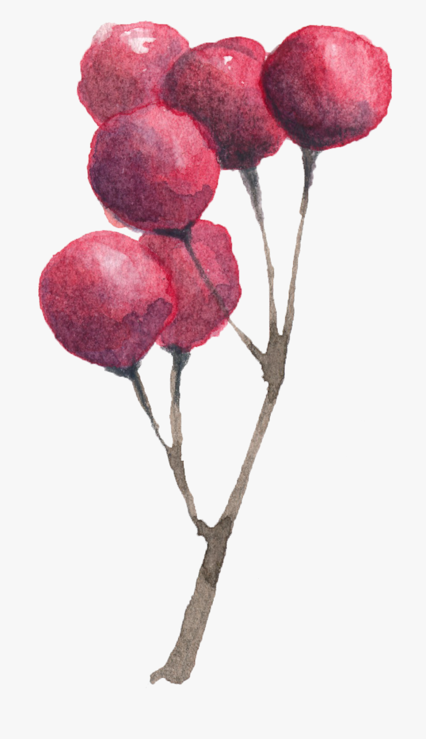 Berry, HD Png Download