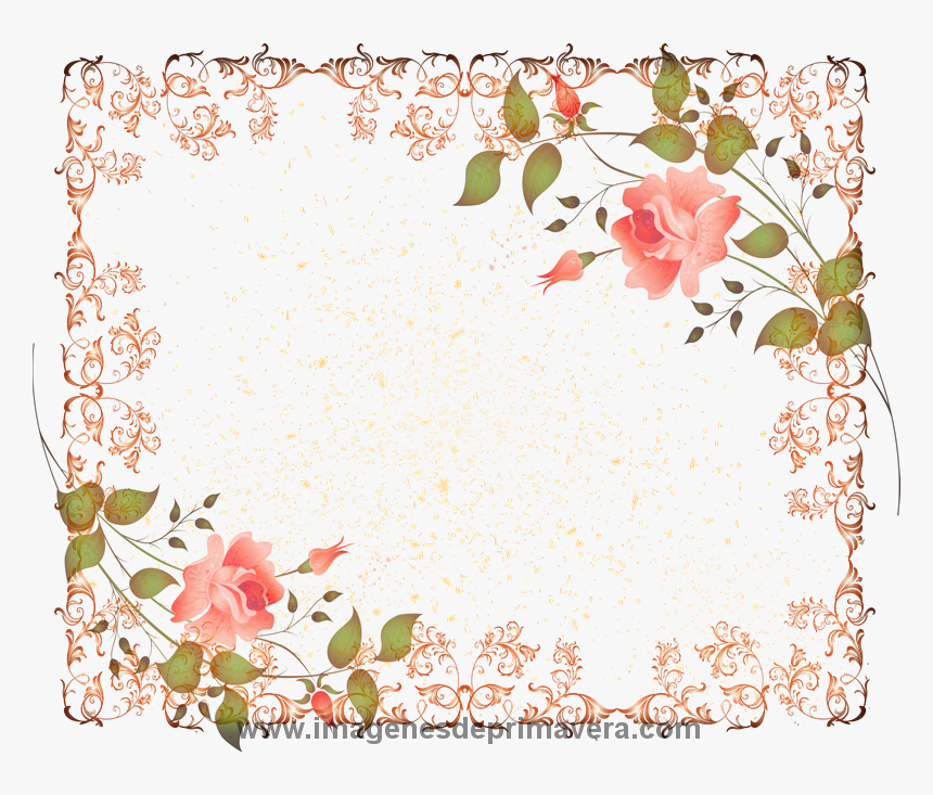 Marcos De Primavera Gratis Rose Hd Png Download Transparent Png Image Pngitem