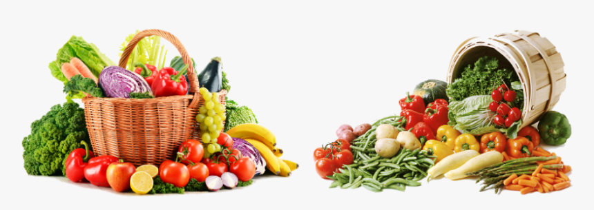 Fruits Et Legumes Bio Le Carre Biologique Janze Colourful Vegetables And Fruit Hd Png Download Transparent Png Image Pngitem
