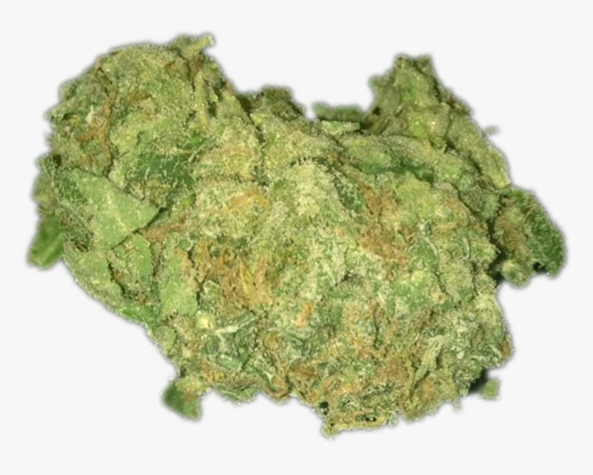 Moss, HD Png Download