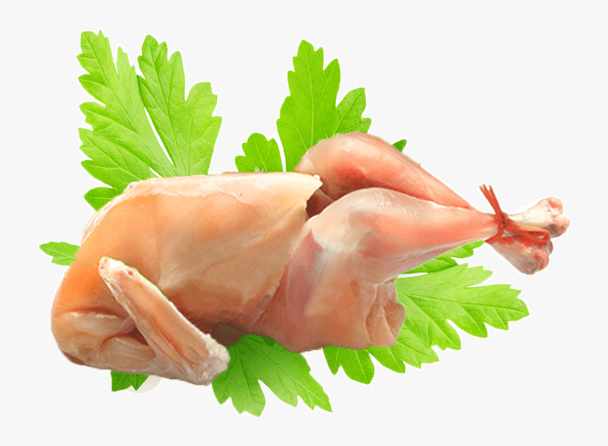 Cervelat, HD Png Download