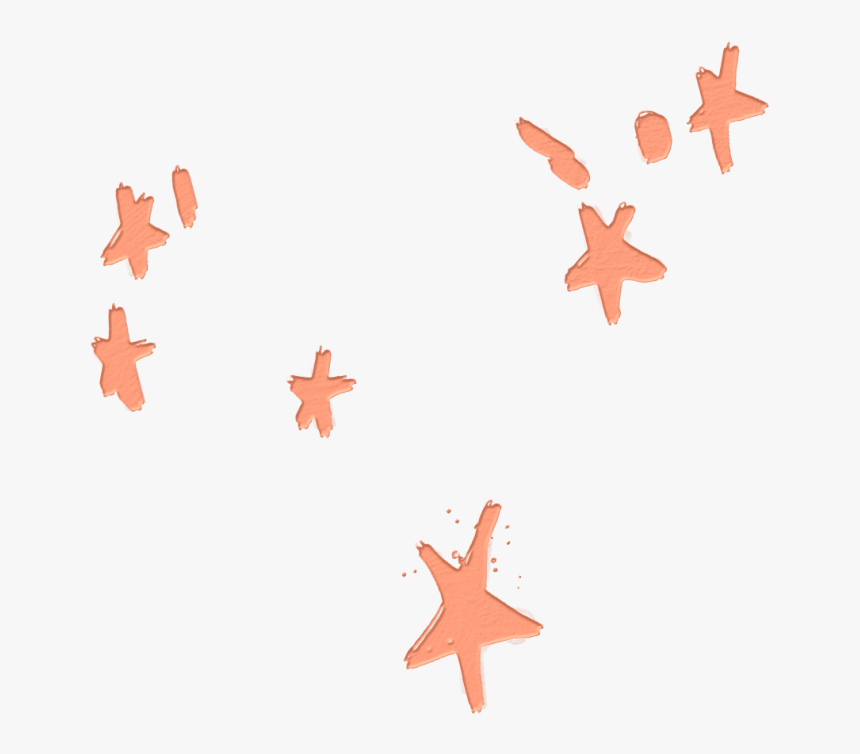 Stars Orange Overlay Sticker - Echinoderm, HD Png Download