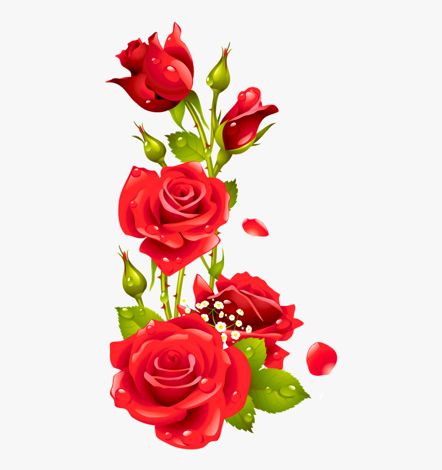 Imagens De Rosas Png, Transparent Png