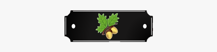 Pack Olive Oil Extra 1/2 Label Black Iberian Ham 1 - Pineapple, HD Png Download