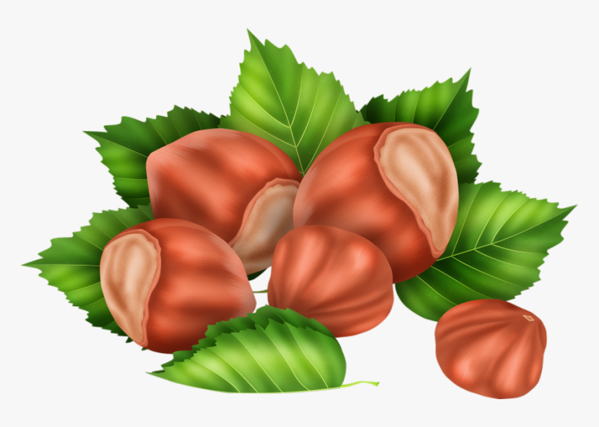 Tubes Fruits,tubes Legumes,clipart,png Fruit,psp,vector, Transparent Png