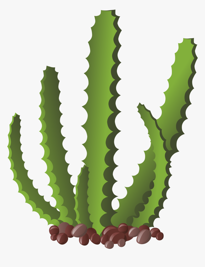 Cactus Pintado, HD Png Download