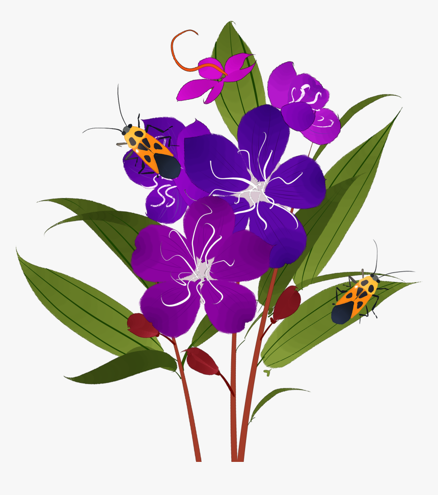 ดง ดอกไม้ สี ม่วง, HD Png Download