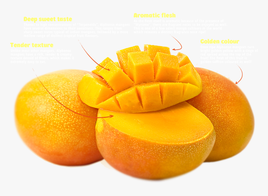 Alphonso Mango Png - Alphonso Indian Mangoes, Transparent Png
