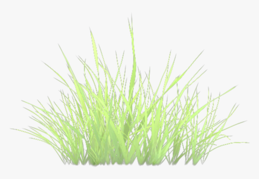 #grass, HD Png Download
