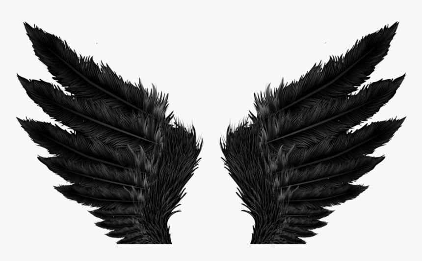 Image - Angel Wings Black Png, Transparent Png