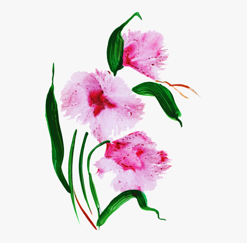 Stargazer Lily, HD Png Download