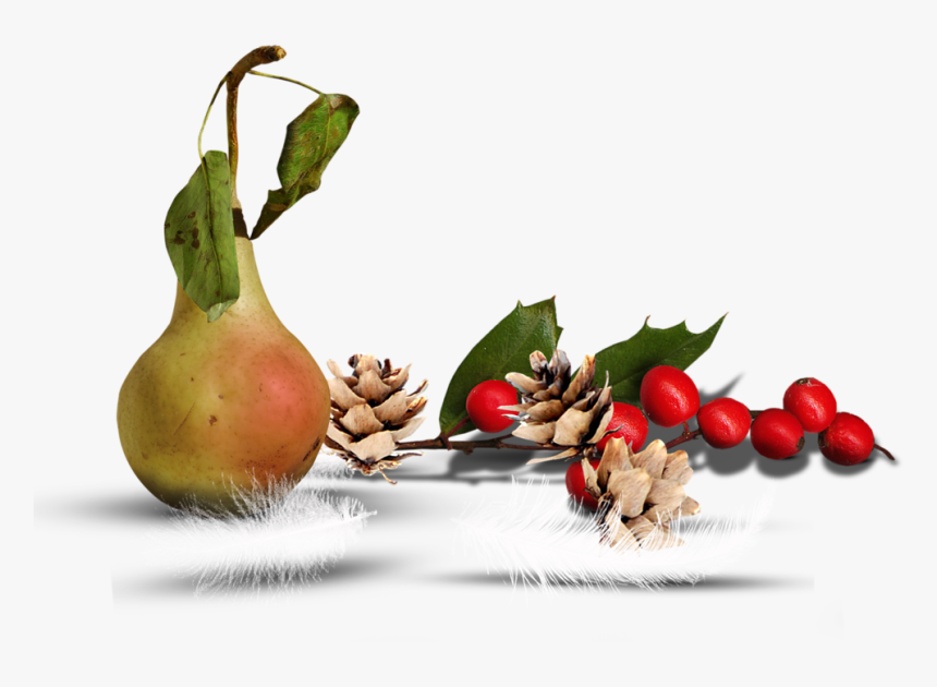 Fruit Et Legumes - Still Life Photography, HD Png Download