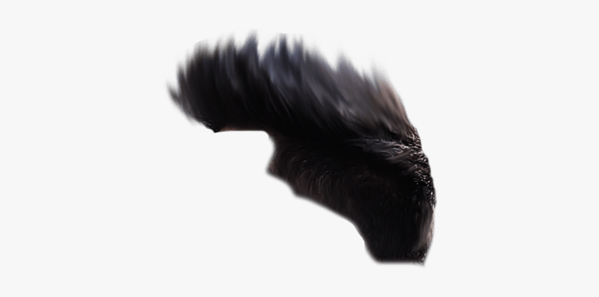 Valentine Day Editing Background - Feather, HD Png Download