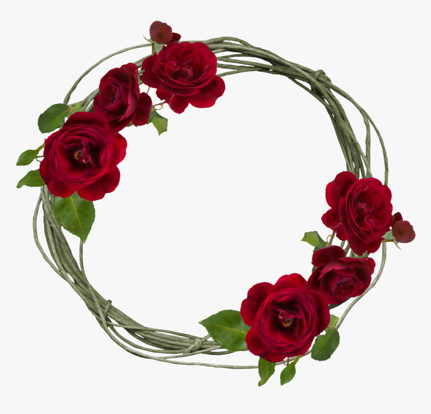 Garden Roses, HD Png Download