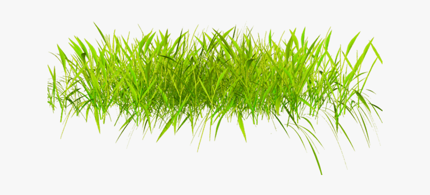 【音画素材】png花朵、栅栏素材（103） - 玫瑰夫人 - - Transparent 3d Grass Png, Png Download