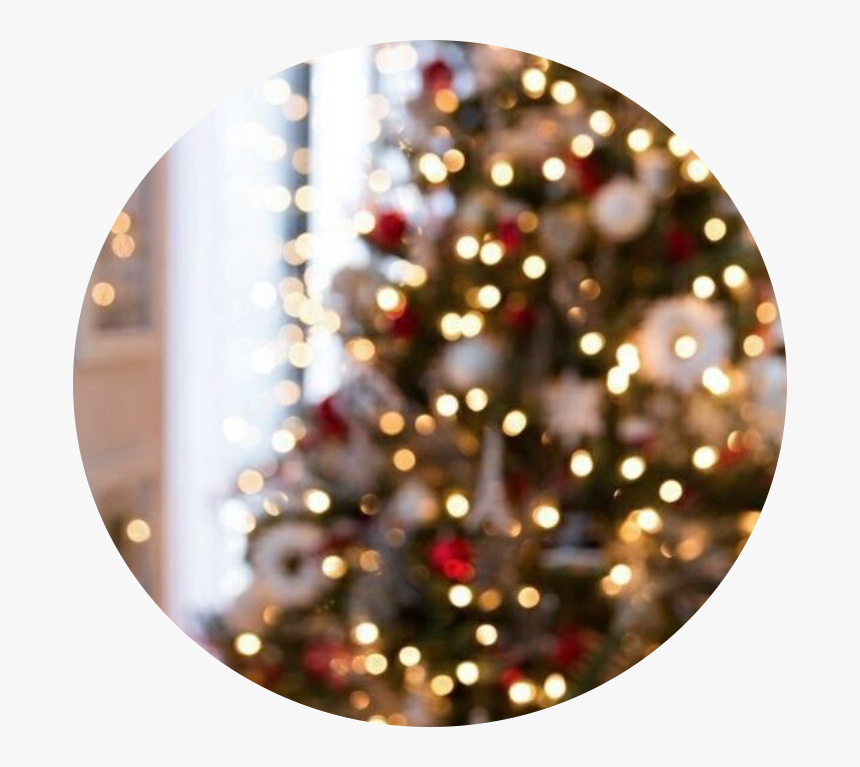 Christmas Tree, HD Png Download