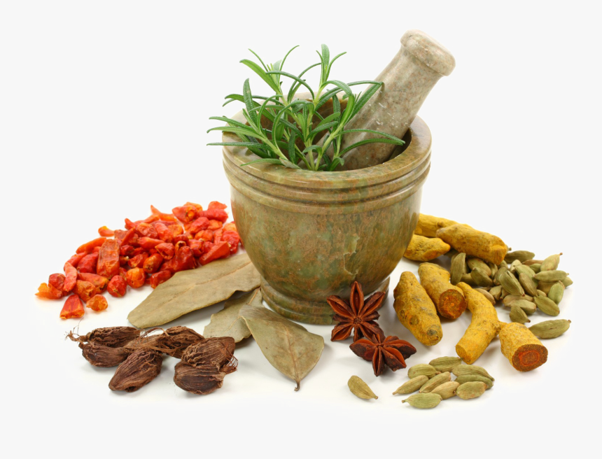 Download Ayurveda Png Free Download Ayurvedic Png, Transparent Png