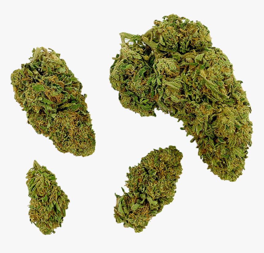 Moss, HD Png Download