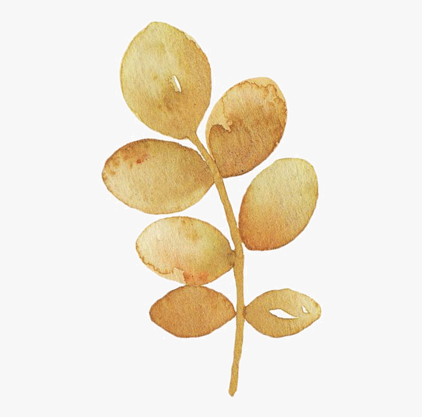 Watercolor Flower Png Free, Transparent Png