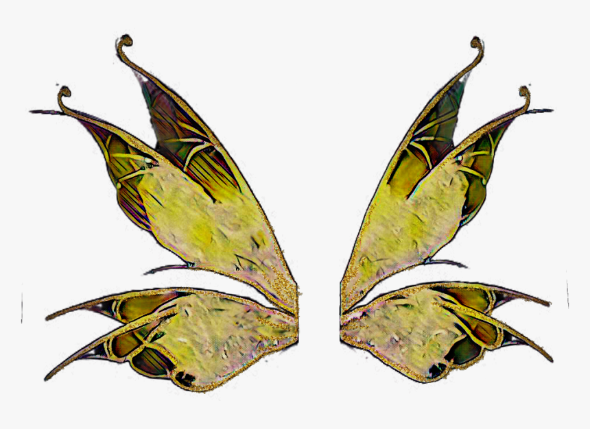 #fairy #wings #fantasy #fairytale - Butterfly, HD Png Download