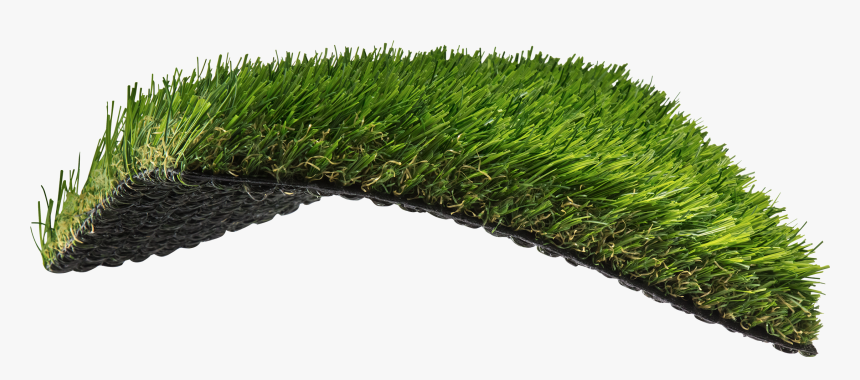 South Atlantic Inspired - Sweet Grass, HD Png Download