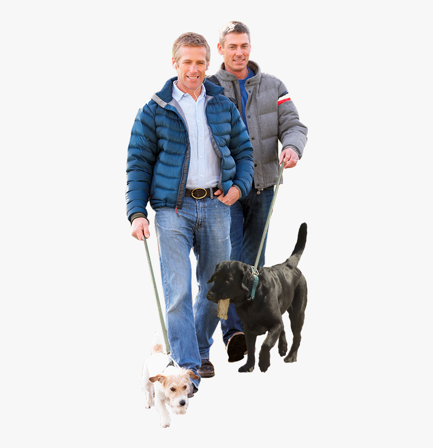 Labrador Retriever, HD Png Download