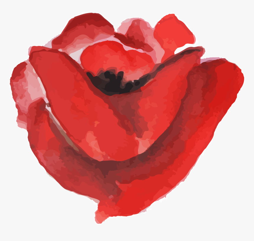 Garden Roses, HD Png Download