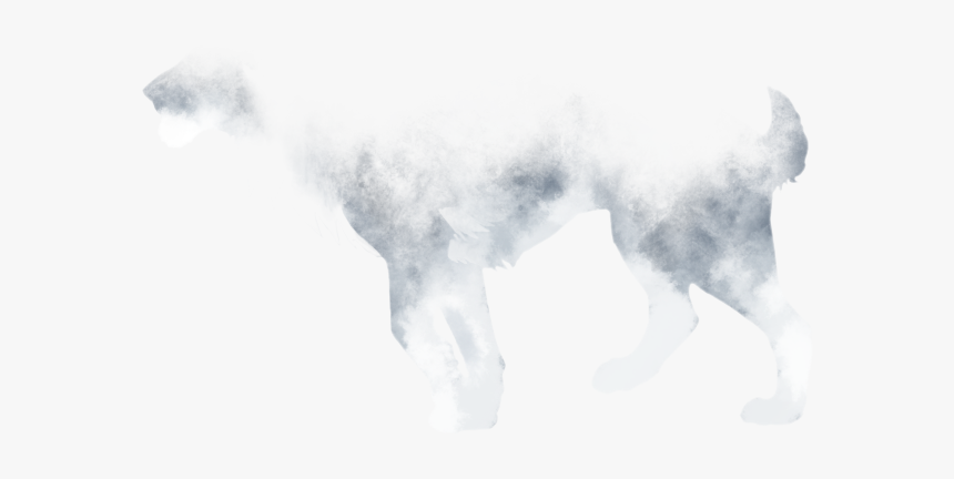 Companion Dog, HD Png Download