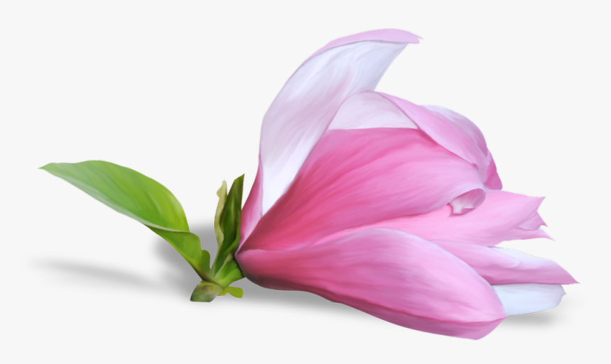 Portable Network Graphics, HD Png Download