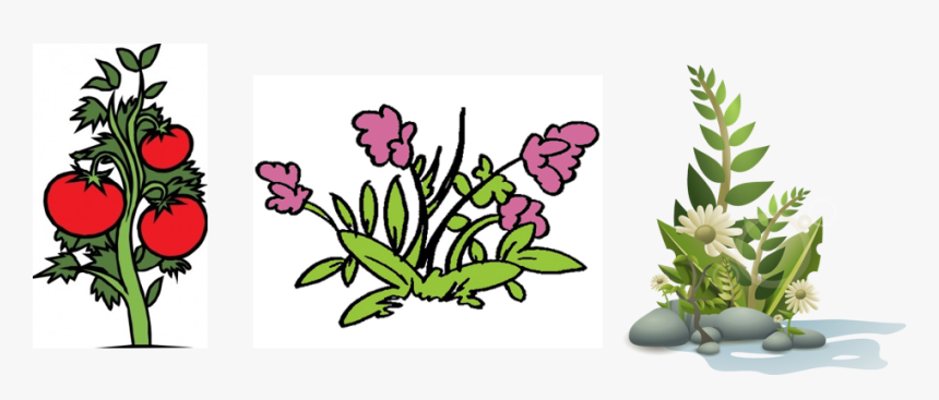 Sher Mirza Ghalib Urdu, HD Png Download