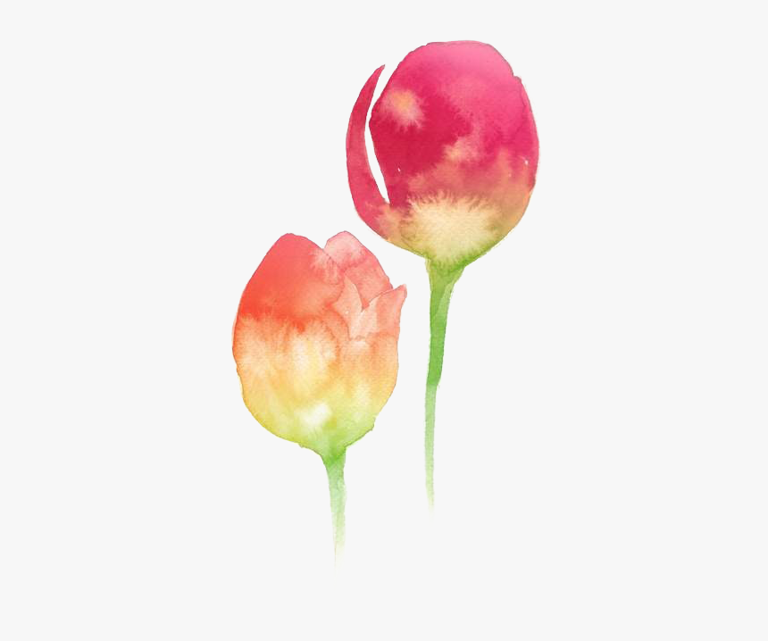 Watercolor Paint, HD Png Download