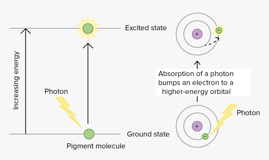 Diagram, HD Png Download