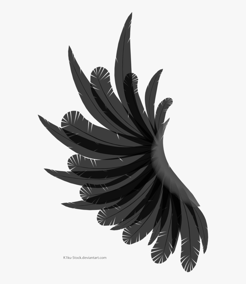 Svg Royalty Free Library Image Icarus Wings Png 1 Wing No Background Transparent Png Transparent Png Image Pngitem