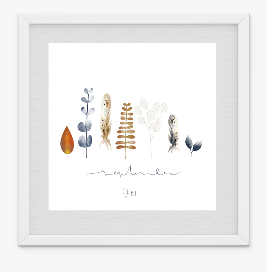 Picture Frame, HD Png Download