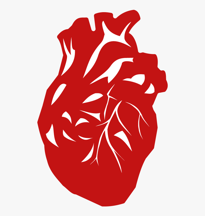 World Organ Donation Day 2019, HD Png Download
