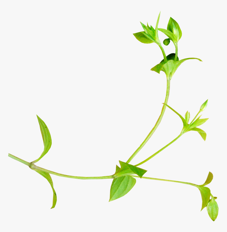 بسم الله الرحمن الرحيم Clipart , Png Download, Transparent Png