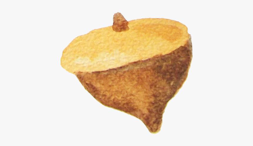 Pumpkin Pie, HD Png Download