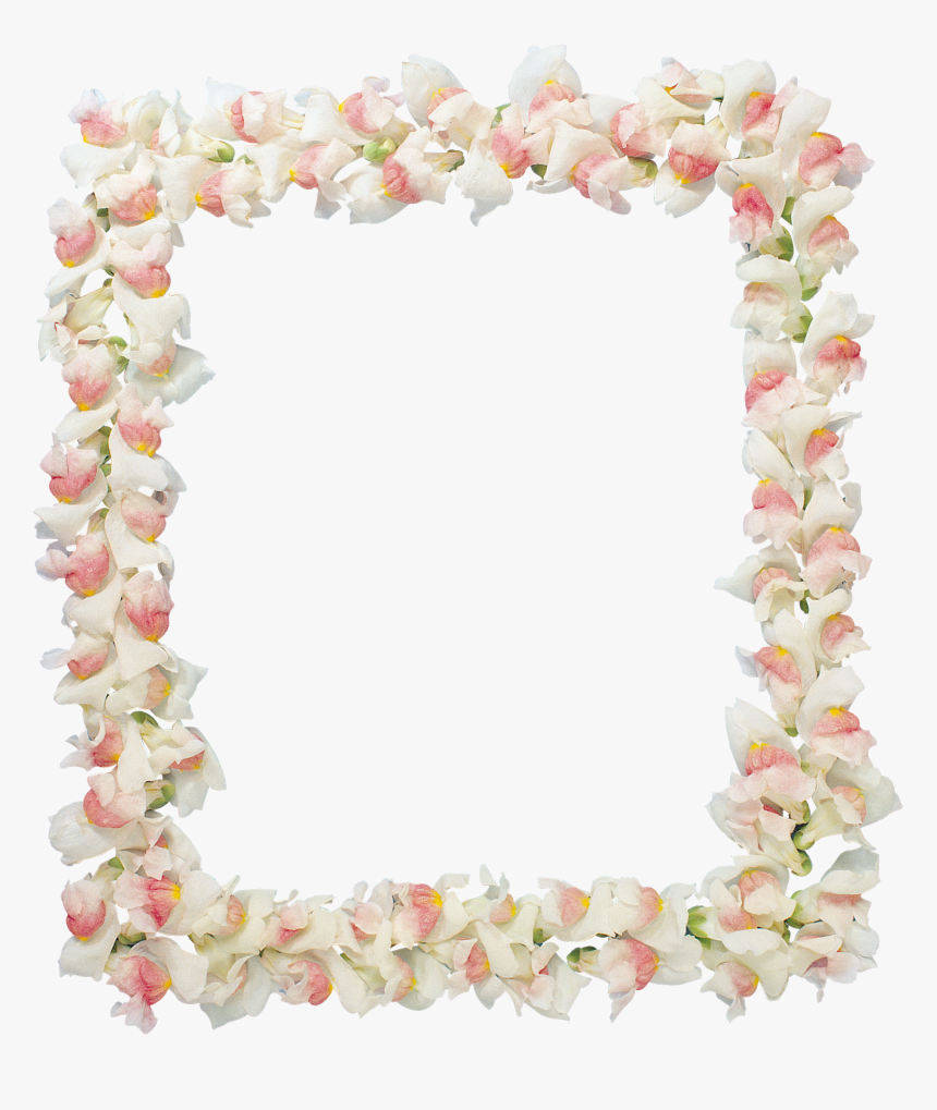 Floral Frame Png - Picture Frame, Transparent Png