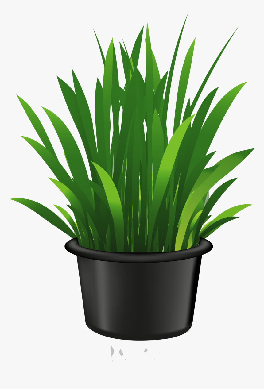 Plants In Pot Clipart, HD Png Download
