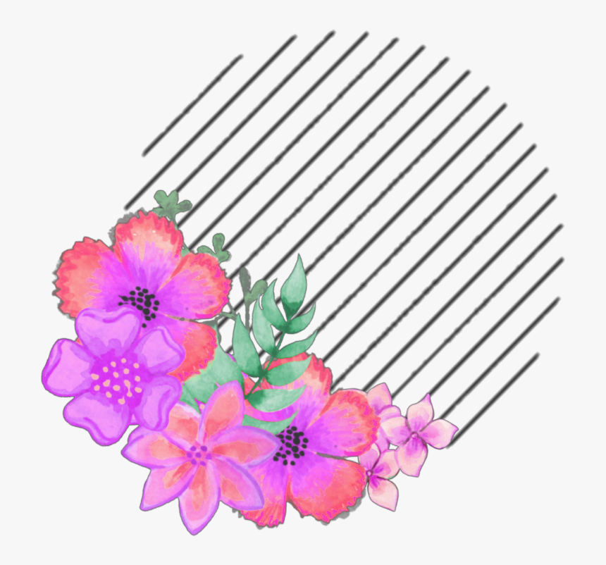 #icon #aesthetic #overlay #coolsticker #kpop - Dianthus, HD Png Download