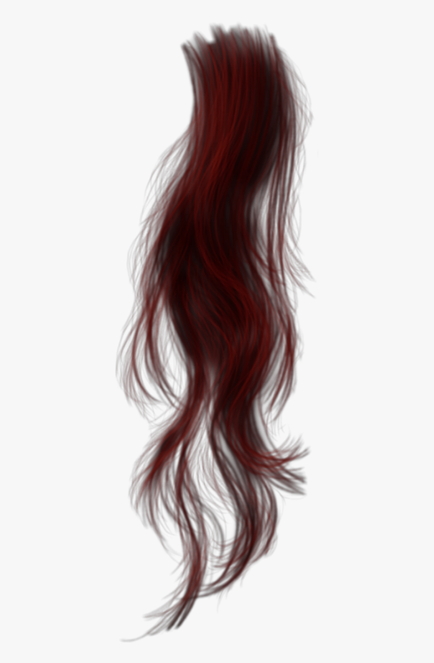 #hair - Lace Wig, HD Png Download